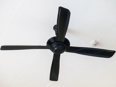 fan 